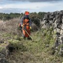 행원환해장성 이미지