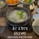궁중화로 | [울산 로컬맛집] 궁중삼계탕 / 울산 삼계탕 맛집 / 울산 성남동 맛집 추천