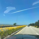 매향2항 공중화장실 | 경기도 화성 노지차박(무료)매향항 당일캠핑, 차박 명소