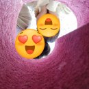 삼첩분식 연천전곡점 | [D-99] 아 이민혁 보고싶다4 - 창신동효자며느리짤랑 올림