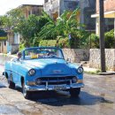 코히마르 이미지