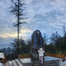 설산약국 이미지