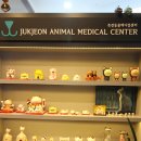 죽전동물메디컬센터 이미지