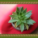 보람의집 이미지