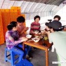 이병철농장 이미지