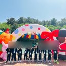 이야채 일상🩵 :: 갑자기 CT와 초음파 찍게된 썰 / 조영제알러지 / 땡큐 너 마저.. (입원) / gv70 판매...