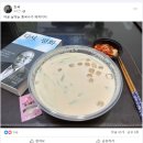 소리구상 이미지