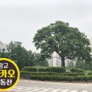 청명고삼거리 이미지