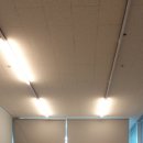 꼬끼오치킨 이미지