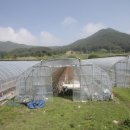 주천면 내송마을 이미지