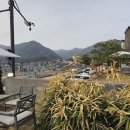 빌라드도화리