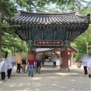 [부안 여행] 아름다운 숲길과 고즈넉함의 공존, 변산반도 대한불교조계종 내소사 방문후기