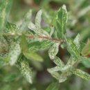 김종열농장 이미지