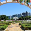 장미원내부 이미지