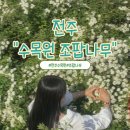 우체국 이팝나무 | 전주 수목원 조팝나무 방문 후기 포토존 위치