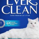 크린에버 이미지