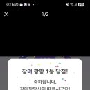 팡팡 Daum카페