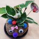 원예공예교실 이미지