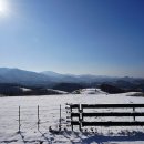 성장목장 이미지