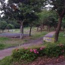 모구리야영장(가족영지) 이미지