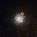 엘리시안 강촌 골프연습장 이미지