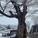 착한주유소 | 경기도 캠핑장 추천 파인힐 빌리지 캠핑장(느티나무 사이트 1번) 설레는 겨울 설캠 캠핑 후기