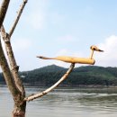 호애농장 이미지