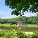 평화강변수목캠핑장 이미지