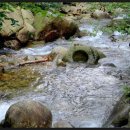 곡성-125 이미지