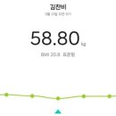 자린고비 - 영등포구 | 자린고비 실패 위고비 두달차 후기