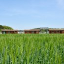 금복 펜션 이미지