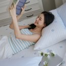 러브데코 | 베베데코 히말라야 장점 후기 및 13% 할인구매 방법