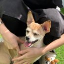 동래이용