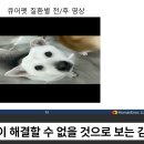 산화질소 임상 연구 발표 이미지