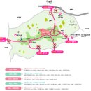 연촌길 | [강화] 고려산 진달래군락지(적석사 등산코스) 후기!!