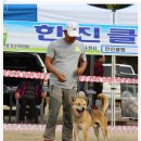 화수초등학교 이미지