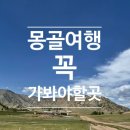 거북숙박 | 몽골여행 꼭 가봐야 할 곳, 태를지 국립공원 거북바위