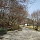 궁지골농원 이미지