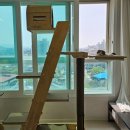 캣그린 | 3년 사용한 그린웨일 캣타워 솔직 후기!! 튼튼하고 안정적인 캣타워 추천