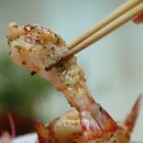 오도리 Daum카페