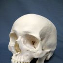 장현서울의원 이미지