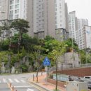 용인보건당약국 이미지