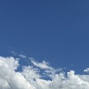 도그지음 | [호주 패키지여행 Day3(2)] 양모쇼핑·Saltwater Creek Hotel·씨웨이·더스핏·도그비치·피쉬앱칩스