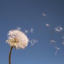 대구용산초등학교 이미지