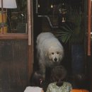 이너프커피로스터스 네이버블로그