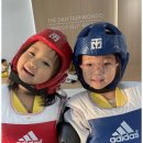 더단 태권도장 이미지