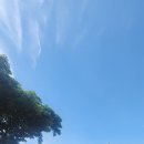 십일시커피 이미지