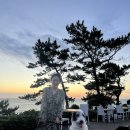 솔향바다가든 | [대형견동반/제주애월식당] 솔향바다가든 후기