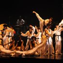 태권아리랑 이미지