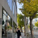 부산신평2동우체국 화장실 | 부산 만삭촬영 셀프스튜디오 그날의미술관 애견동반 예약 주차